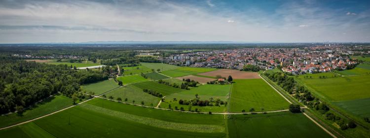 FDP OV Oftersheim